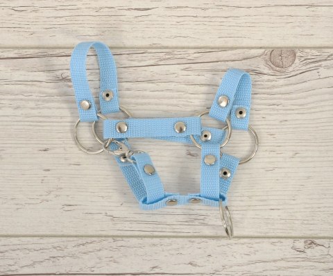Kantar dla konia Hobby Horse uniwersalny A4 i A5 zapinany - błękitny