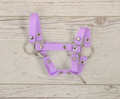 Kantar dla konia Hobby Horse uniwersalny A4 i A5 zapinany - fioletowy