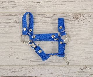 Kantar dla konia Hobby Horse uniwersalny A4 i A5 zapinany - niebieski