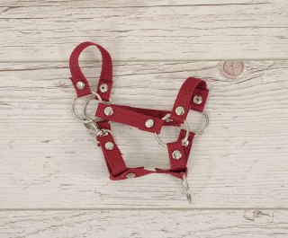Kantar dla konia Hobby Horse uniwersalny A4 i A5 zapinany - bordowy