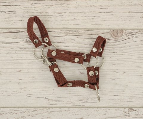 Kantar dla konia Hobby Horse uniwersalny A4 i A5 zapinany - brązowy